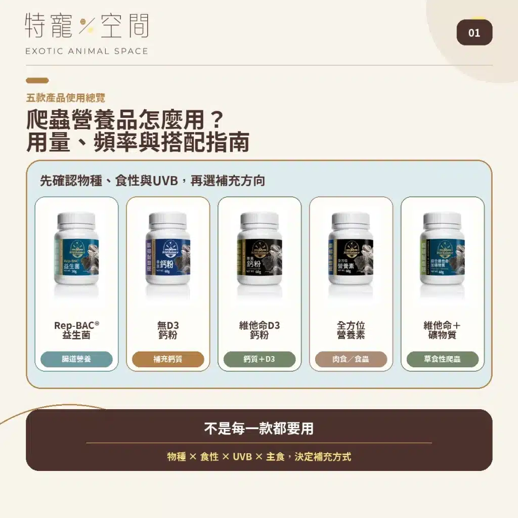 爬蟲營養品怎麼用