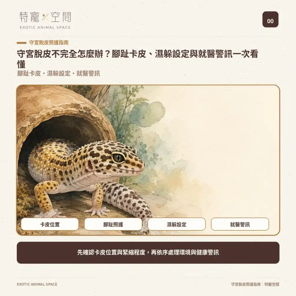 00 GECKO STUCK SHED GUIDE COVER