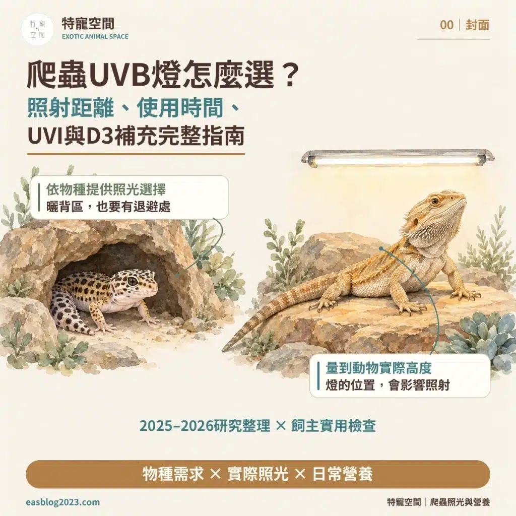 00 封面 爬蟲UVB燈怎麼選