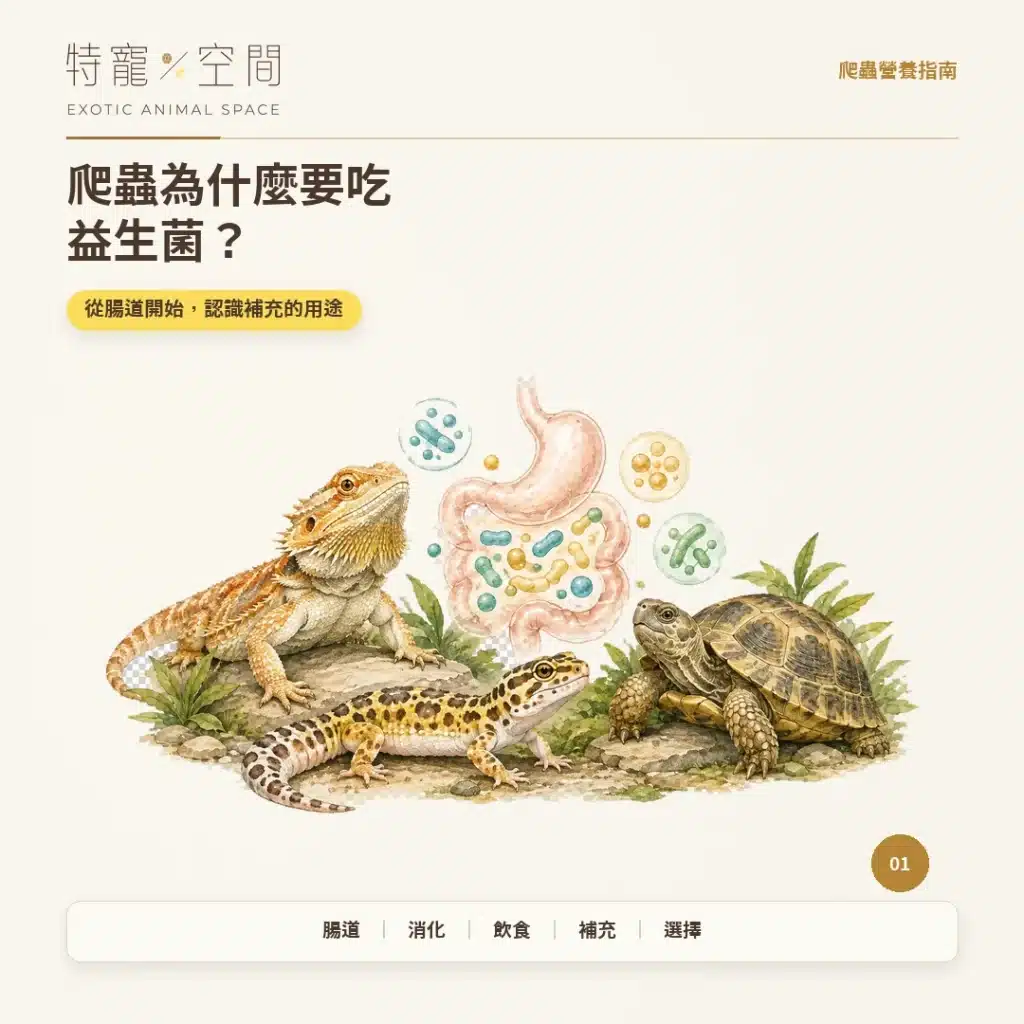 01 爬蟲為什麼要吃益生菌 封面